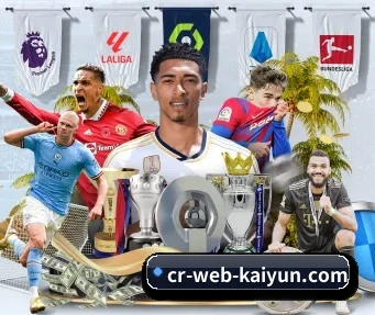 开云体育 APP - kaiyun.com